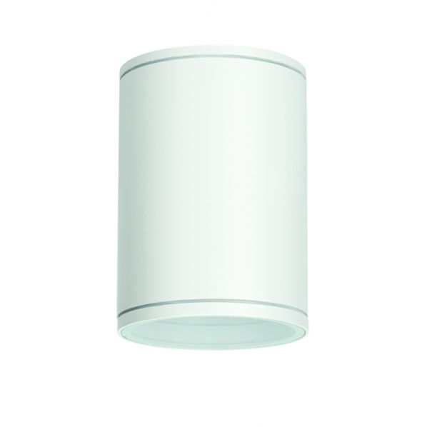 ^E27 PAR30  ROUND CEILING LUMINAIRE 230V AC MATT WHITE IP65 MAX.35W