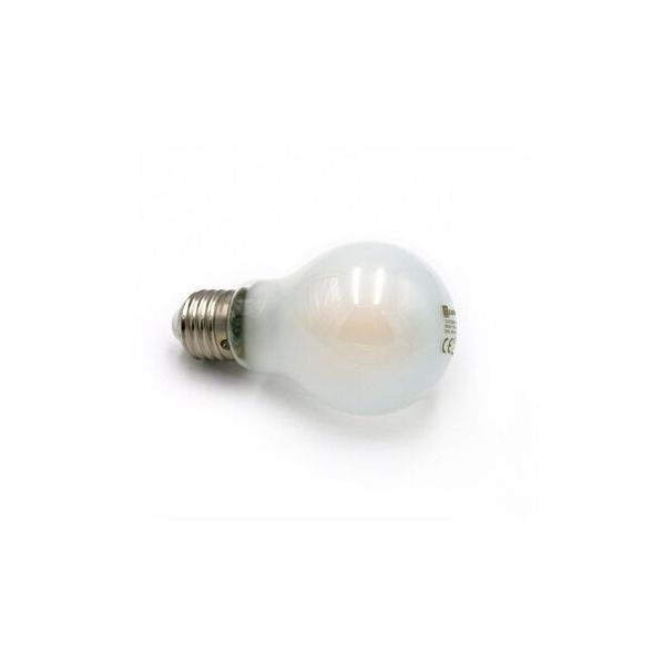 LED ΛΑΜΠΑ COG ΑΧΛΑΔΙ ΜΑΤ Ε27 4W 230V ΨΥΧΡΟ