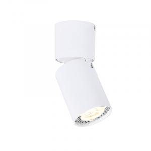 ΕΠΙΤΟΙΧΟ Φ/Σ 1XGU10 ΛΕΥΚΟ ΑΛΟΥΜΙΝΙΟ D5,5XH13CM ELITIS