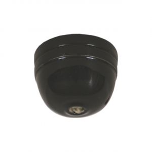 ΡΟΖΕΤΑ ΠΟΡΣΕΛΑΝΗΣ ΜΑΥΡΗ