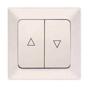 ΜΠΟΥΤΟΝ ΡΟΛΛΩΝ ΛΕΥΚΟΣ