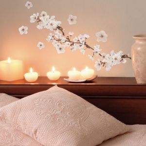 PHOTOGRAPHIC BLOSSOM ΑΥΤΟΚΌΛΛΗΤΑ ΤΟΊΧΟΥ ΒΙΝΥΛΊΟΥ