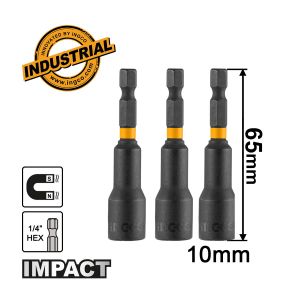 ΚΑΡΥΔΆΚΙΑ 1/4