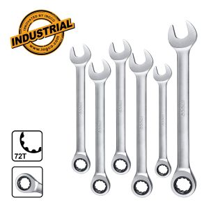 ΓΕΡΜΑΝΟΠΟΛΎΓΩΝΑ ΚΑΣΤΆΝΙΑΣ ΣΕΤ 6 ΤΕΜ.