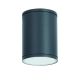 ^E27 PAR30  ROUND CEILING LUMINAIRE 230V AC DARK GREY IP65 MAX.35W