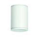 ^E27 PAR30  ROUND CEILING LUMINAIRE 230V AC MATT WHITE IP65 MAX.35W
